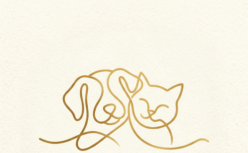 Pawfect picks